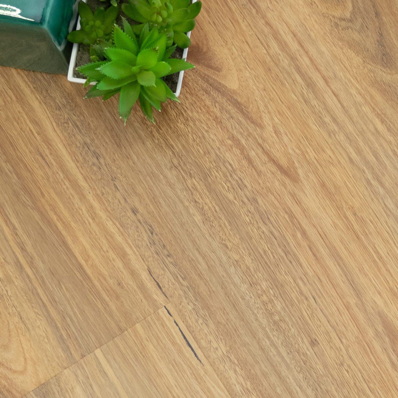 Spotted Gum Hybrid Flooring Best Price The Flooring Guys