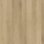 Avala Coastal Beige