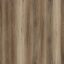 Avala Spotted Gum