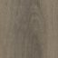 Signature Floors Quattro Bristle Oak