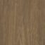 Signature Quattro Brown Stingybark