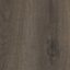 Signature Floors Quattro Talla Oak