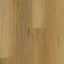 Godfrey Hirst Apollo Hardwood Blackbutt Elegant