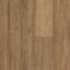 Godfrey Hirst Apollo Hardwood Spotted Gum Coastal