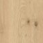 Godfrey Hirst Legacy Mornington Oak
