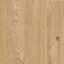 Godfrey Hirst Legacy Natural Oak