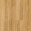 Wonderwood New England Blackbutt