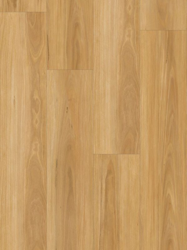 Wonderwood 9mm Hybrid New England Blackbutt hybrid flooring