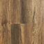 Pinaco Desert Oak