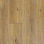 Prime Contemporary Plus New England Blackbutt