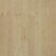 Project Oak Prague Natural Engineered