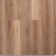 Riverhill Elegant QLD Spotted Gum