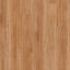 Titan Blackbutt