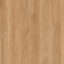 Titan Bleached Blackbutt