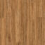 Titan Spotted Gum