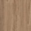 Titan XXL Blackbutt Select