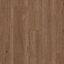 Titan XXL Spotted Gum