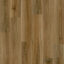Pallas Ultimate Spotted Gum