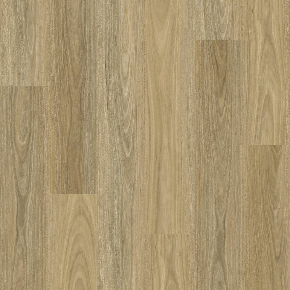 NFD Illusions NSW Spotted Gum Vinyl Plank Flooring Loos Lay Vinyl