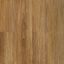 Topdeck Prime Legend Spotted Gum