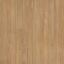 Topdeck Prime Legend Blackbutt