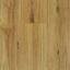 Adorn Classic Blackbutt