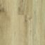 Stonegrove Brevis Yore