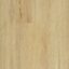 Stonegrove Brevis Coastal Blackbutt