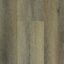 Stonegrove Brevis Byre
