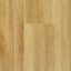 Stonegrove Altus Blackbutt