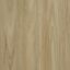 Signature Floors Panorama Banksia Blackbutt Vinyl Plank Flooring