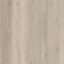Polyflor Affinity Oyster Birch Vinyl Plank Flooring