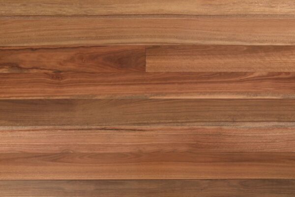 Wooden-Land Spotted Gum Engineered Timber Flooring