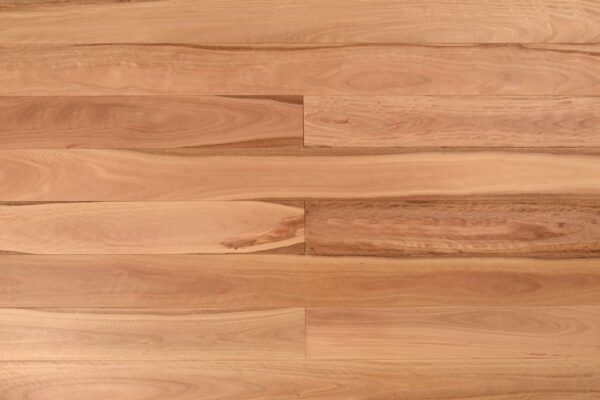 Wooden-Land Pacific Blackbutt Engineered Timber Flooring