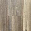 HTT Guardian Spotted Gum