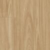 MTF Blackbutt