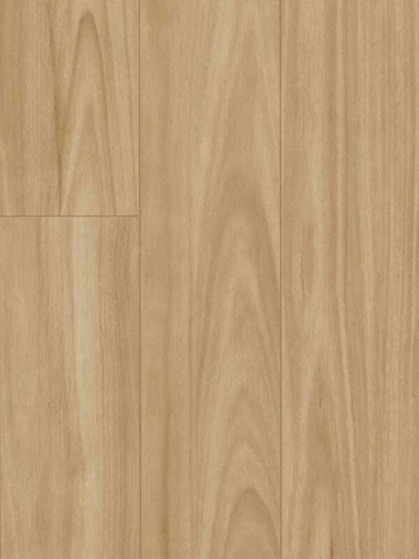 MTF Blackbutt Laminate Flooring