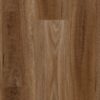 MTF Spotted Gum