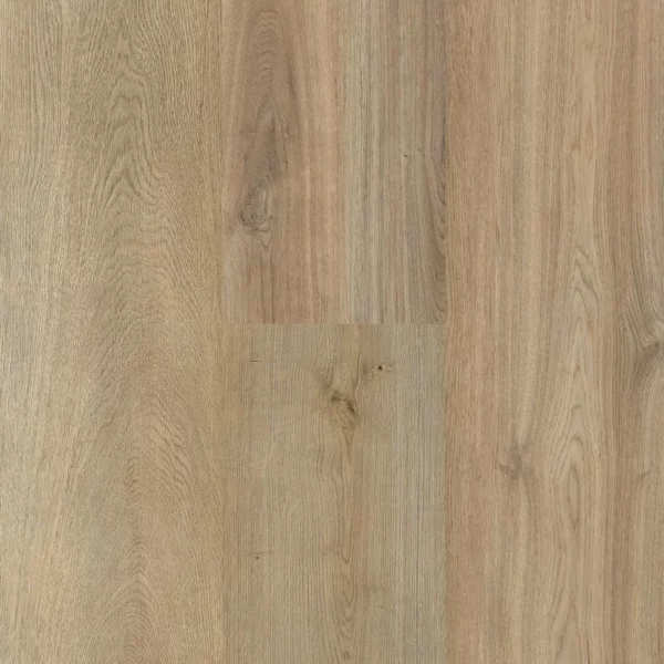 Proline QLay 5.0 Bergen Vinyl Flooring