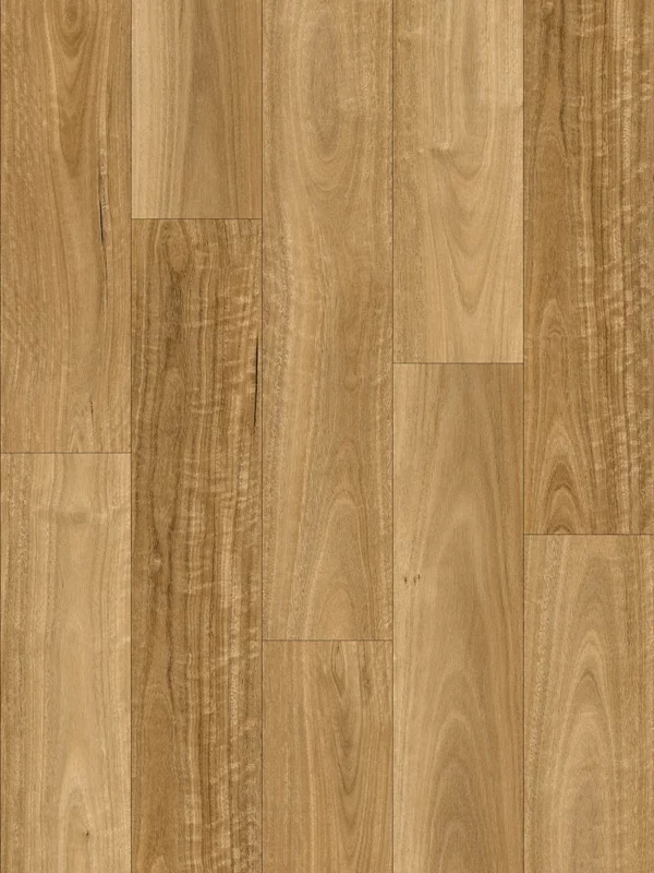 Ornato Urban Highland Spotted Gum Hybrid Flooring