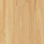 Hydrocore Blackbutt Laminate Flooring