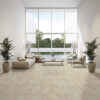 Stone Floor Sea Shell
