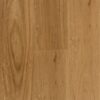Aspire RCB Coastal Blackbutt