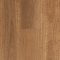 Aspire RCB QLD Spotted Gum