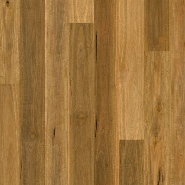 Quick-Step Cascada Spotted Gum 1 strip Engineered Timber Flooring