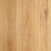 Oakleaf Blackbutt