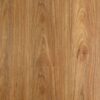 Oakleaf Spotted Gum