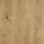 Oakleaf Paperbark