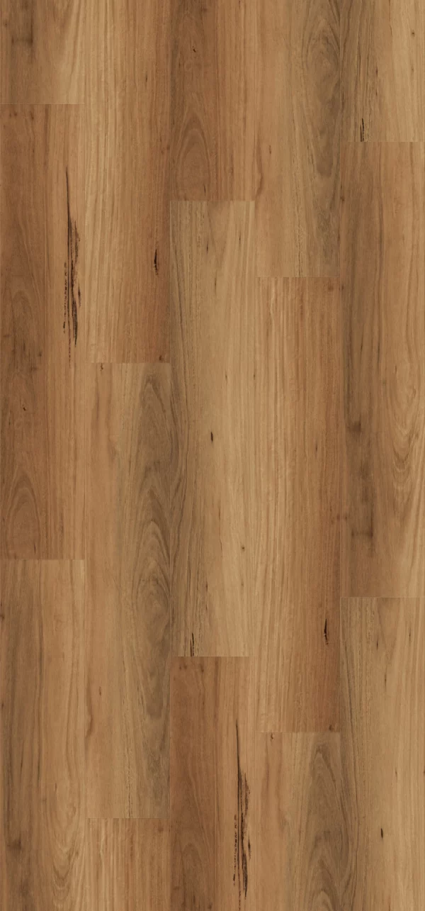 NFD Calloway Frontier Blackbutt Vinyl Plank Flooring