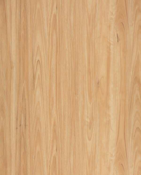 Godfrey Hirst Legacy 1200 Eastern Blacbutt Laminate Flooring